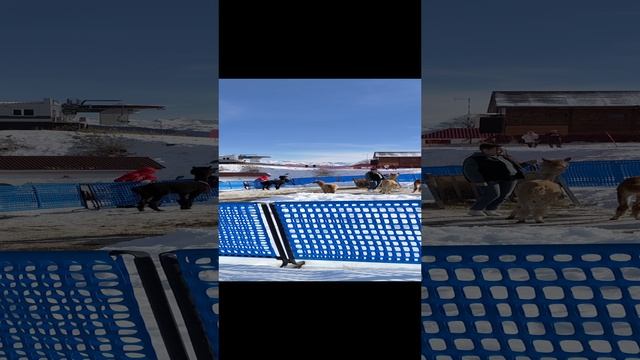 1000023137.mp4