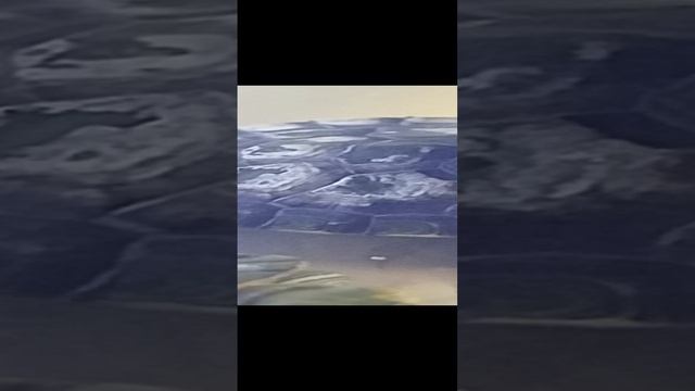 Мои черепашки 🐢🐢🐢 💞💞💖💖🤣🤣😂😂🤗