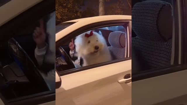 1000006452.mp4