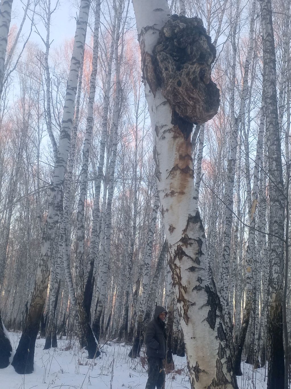Я в эфире
