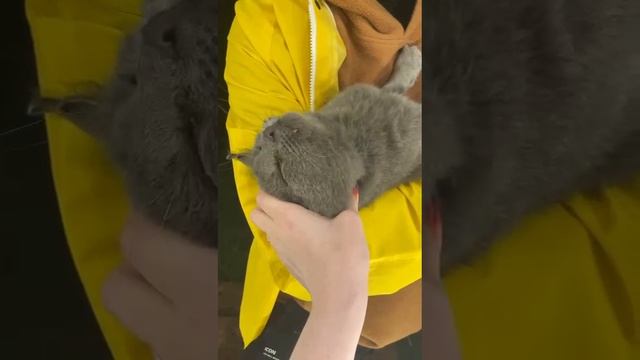 1000002387.mp4