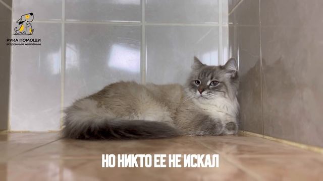 Продолжаем знакомство с новым приемом! Поддержать⬇️