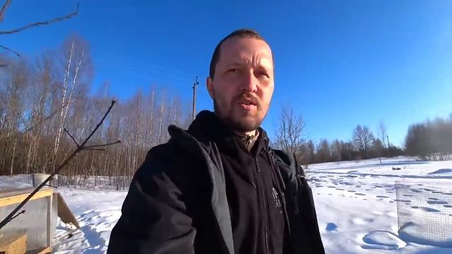 С 8 марта! Сестра с Днем Рождения! Как дела у Феникса_