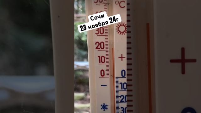 Сочи 23 ноября 24г.