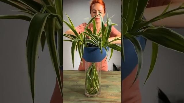 Строим дом своими руками!