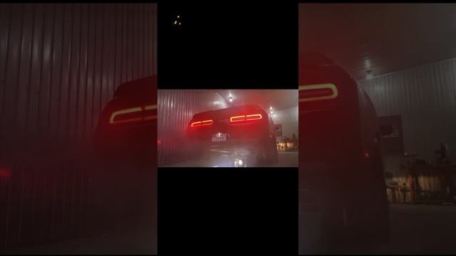 Якоб и его «талант»! Поддержать⬇️