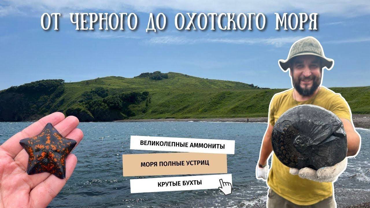 От Черного до Охотского моря | Часть 6.2 : Моря полные устриц, великолепные аммониты