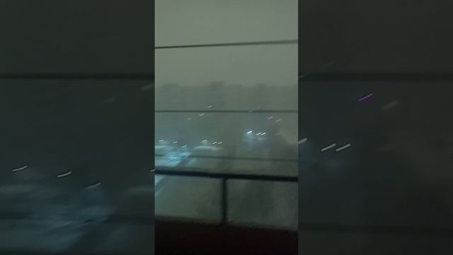 Санкт-Петербург 23.11.24