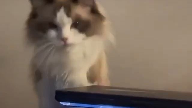 Заканчиваем с работой, выходные 😁