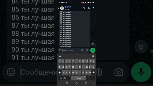 23-11-2024
