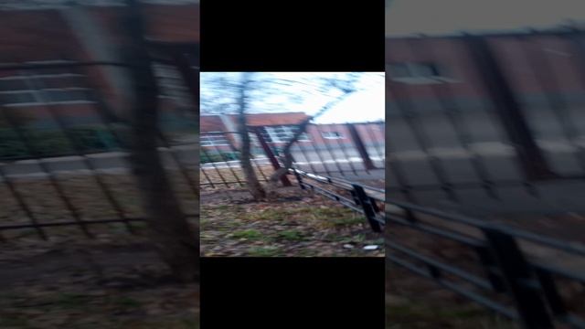 Сдохни или умри...