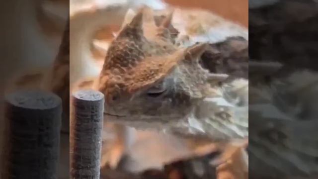 Тот самый друг, который нигде не успевает