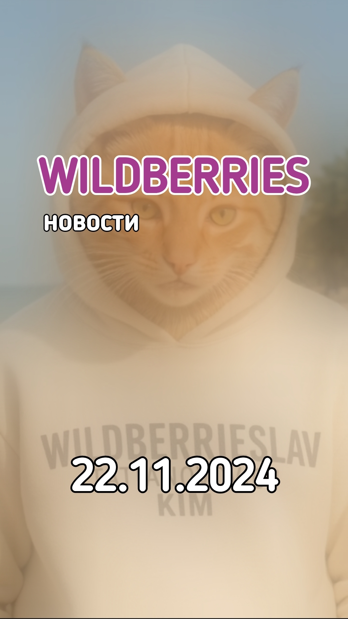 Новости #wildberries от 22 ноября. Черная пятница официально 29.11. А 27 ноября стартует автоакция