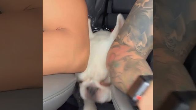 Ну, подвинься)))))