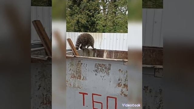 Поделись улыбкою своей🥰