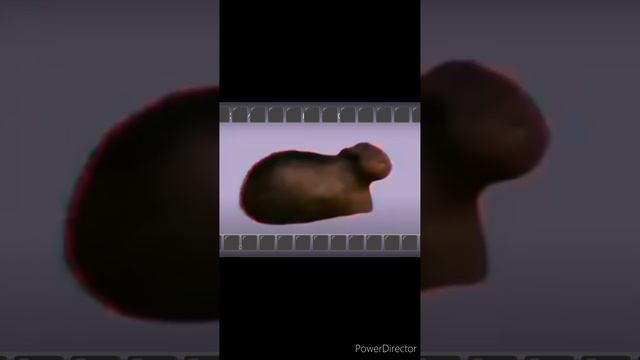23-11-2024