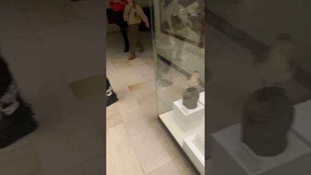 Дарвинский музей