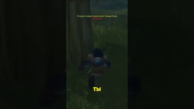 Напали сильные Мобы в World of Warcraft 💛 #wow #worldofwarcraft #warcraft