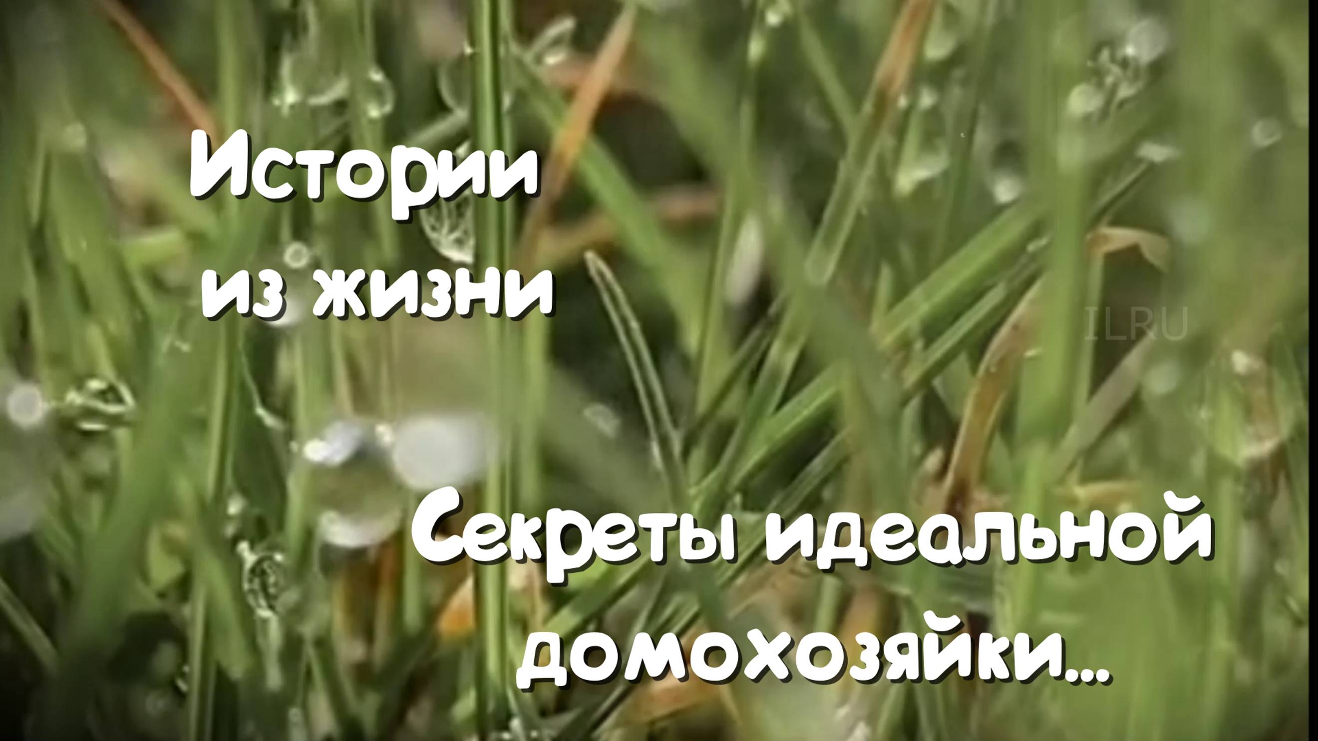Душевные истории - Секреты идеальной домохозяйки...
