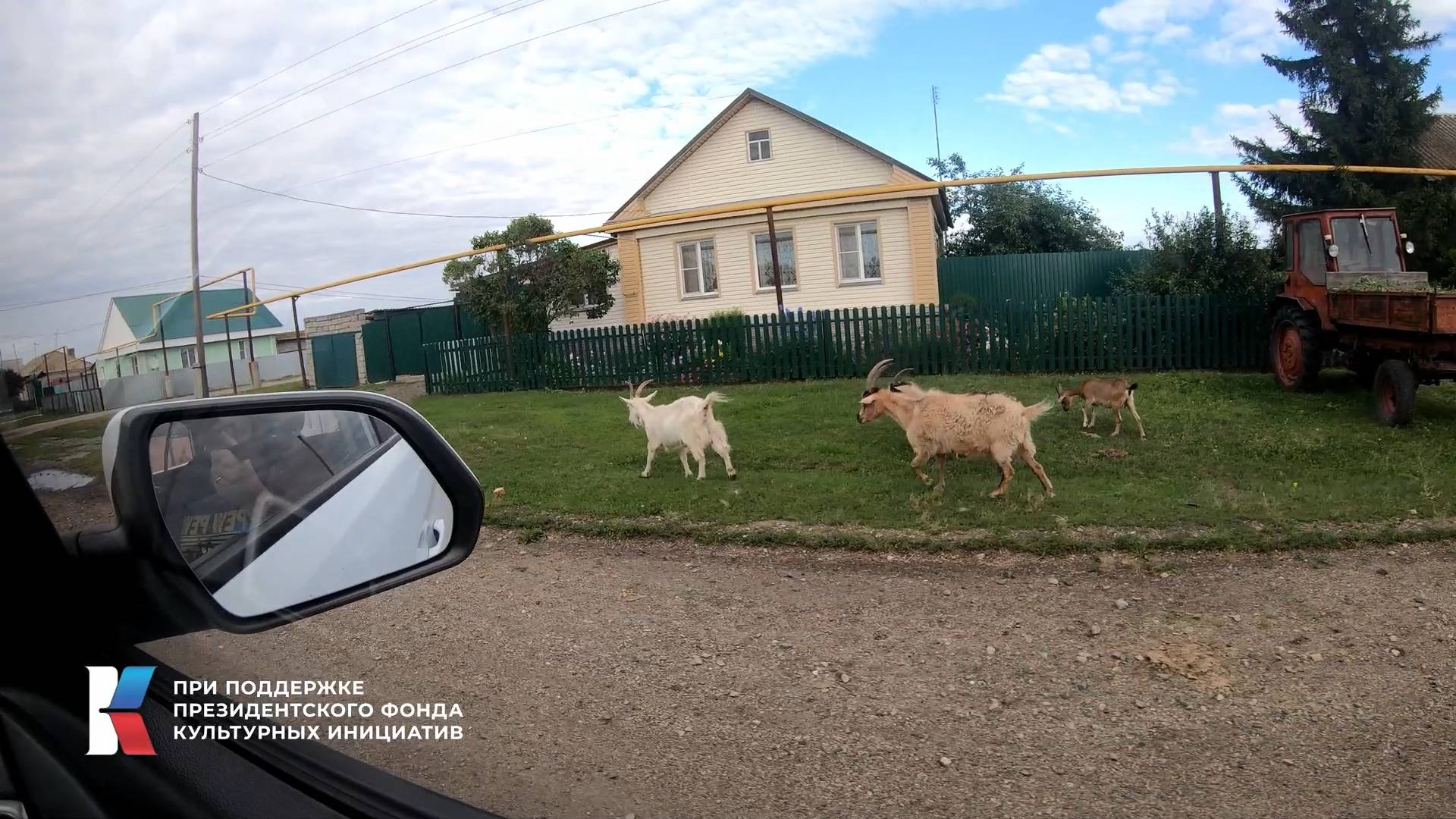 🗺 Поиск локаций для Короткометражного фильма «Сердце леса»