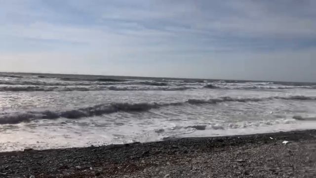 WhatsApp Video 2024-11-21 at 12.25.54