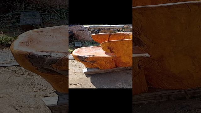 1000009344.mp4