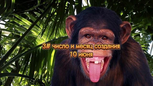 4 факта о супер бир адвенчер