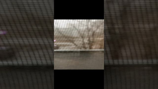 Ничего не происходит