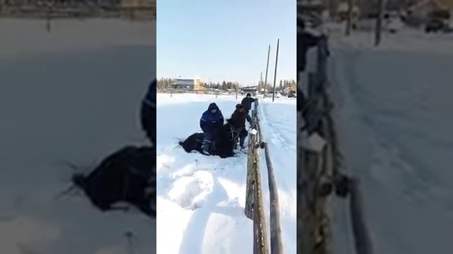 1000127920.mp4