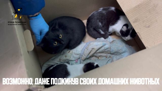 Идиотизм постучался в наши двери под вечер! Поддержать⬇️