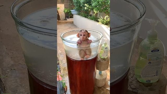 Чудышко