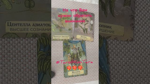 На  что Вам нужно обратить внимание 🥰💜🥰 #таро #таро онлайн #гадание #расклад #эзотерика #shorts