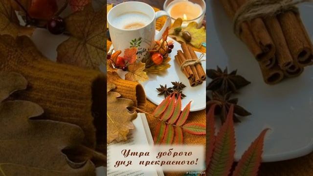 🌹 С добрым утром❤️. Пусть оно будет для тебе хорошим!