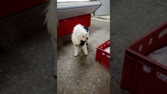 А что это у вас тут??? 😄