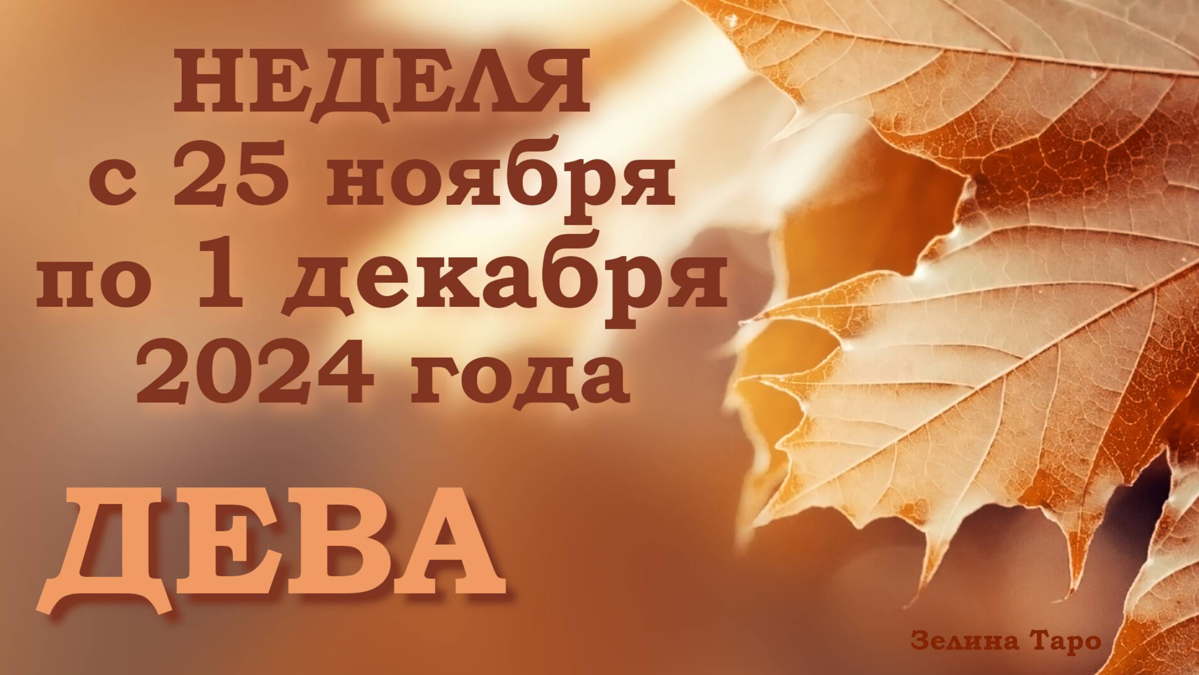 ДЕВА | Таро прогноз на неделю с 25 ноября по 1 декабря 2024 года