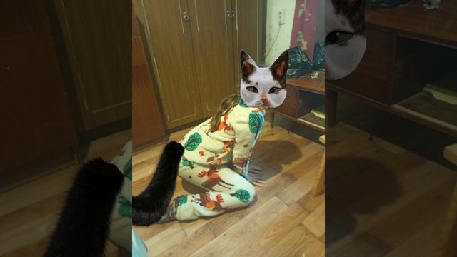 Джесси😺😸🍗