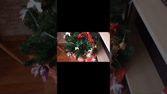 scene_output.mp4