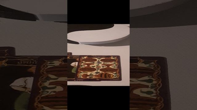 20241123_161320.mp4  Кого преследует тоска