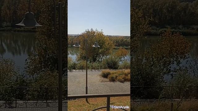 ст. Вешенская