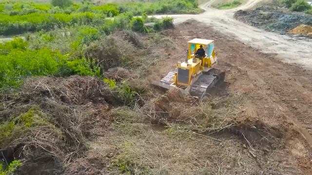 Строительство, зачистка террритории от зарослей, планировка
