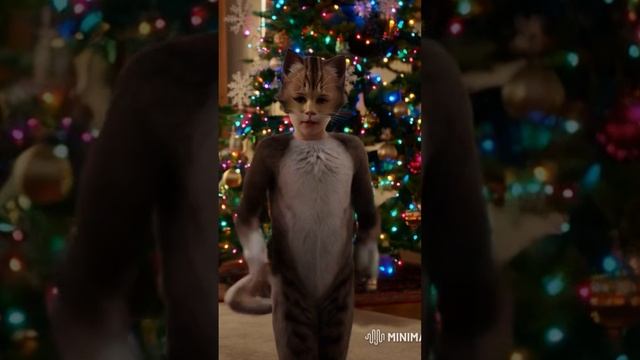 Волшебные мгновенья