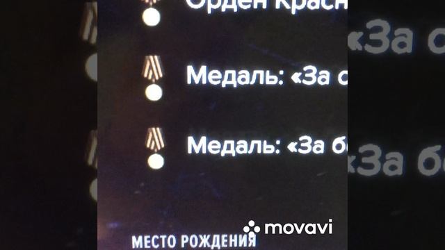 Никто не забыт , ничто не забыто в  парке Патриот 22.11.2024 г. Московская область . Россия .