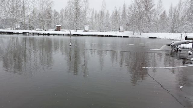 Обзор водоёма РК "Фишка" Петряиха