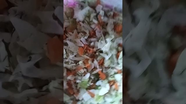 1007099808.mp4