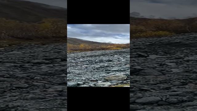VID-20241015-WA0018.mp4