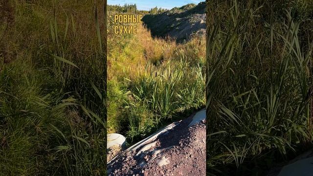 BRO.ESTATE | Недвижимость