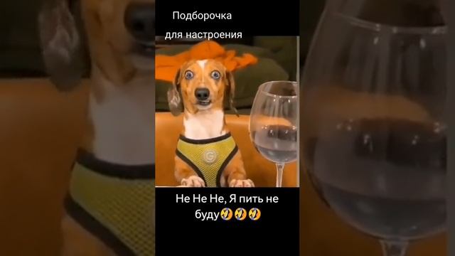 1000081341.mp4