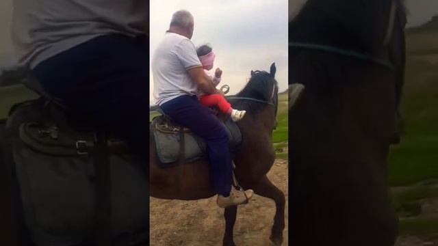🙂🐎🐎
