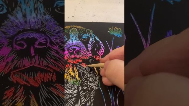 Гравюра❤️🧡💛💚🩵💙💜