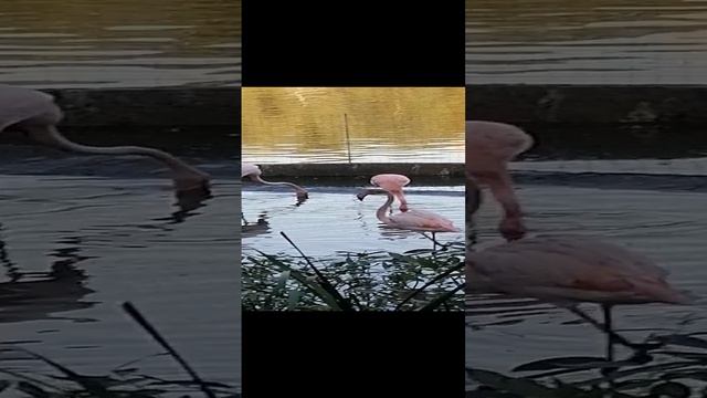 1000001082.mp4